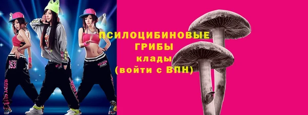 герыч Горнозаводск